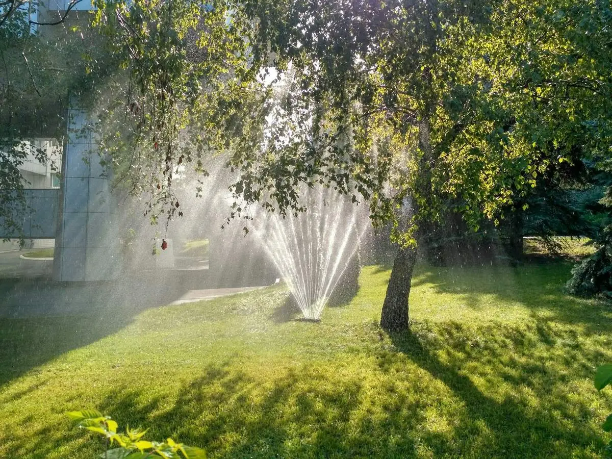 Sprinkler head watering a green lawn under a tree