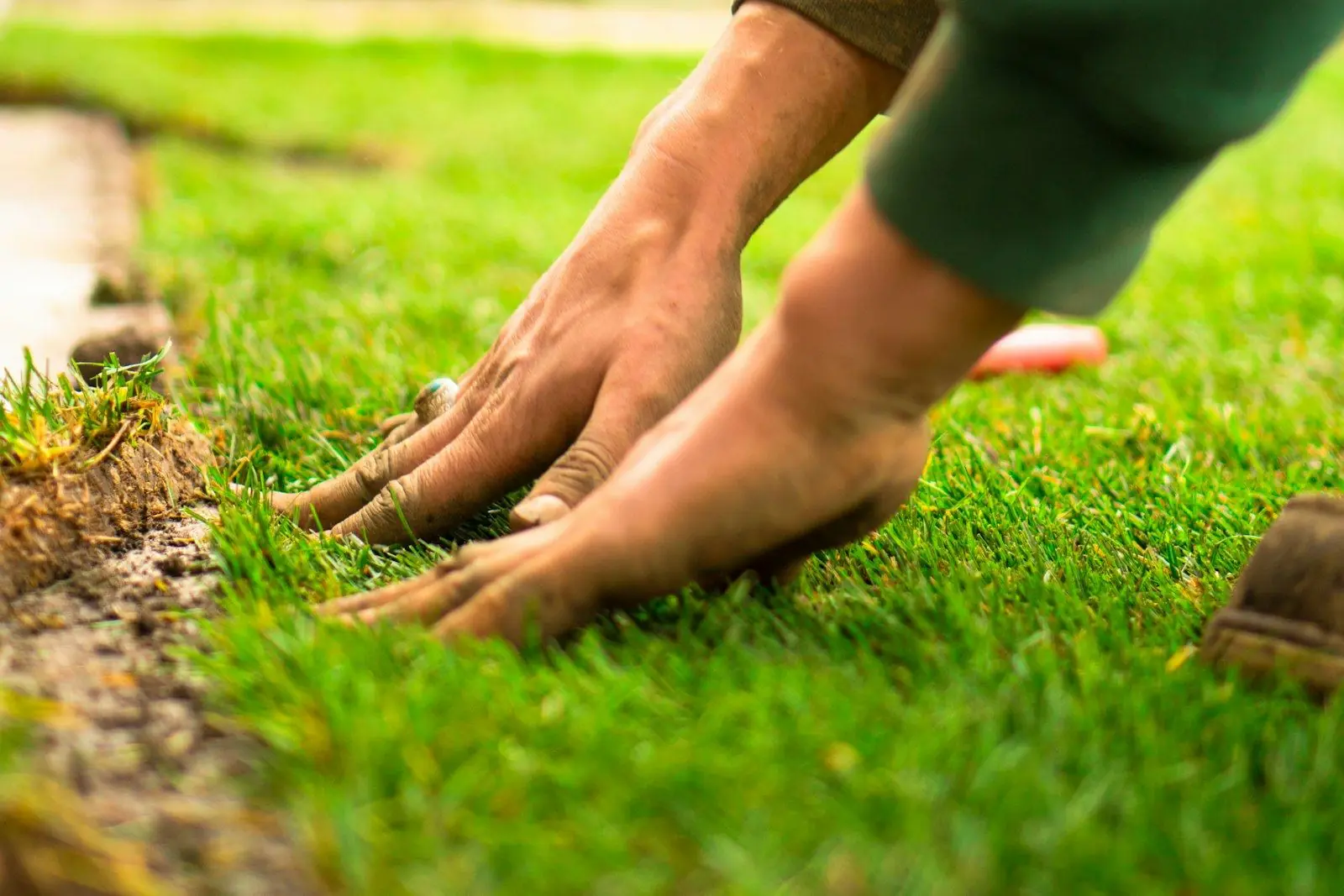 Hands pressing a new piece of sod into place